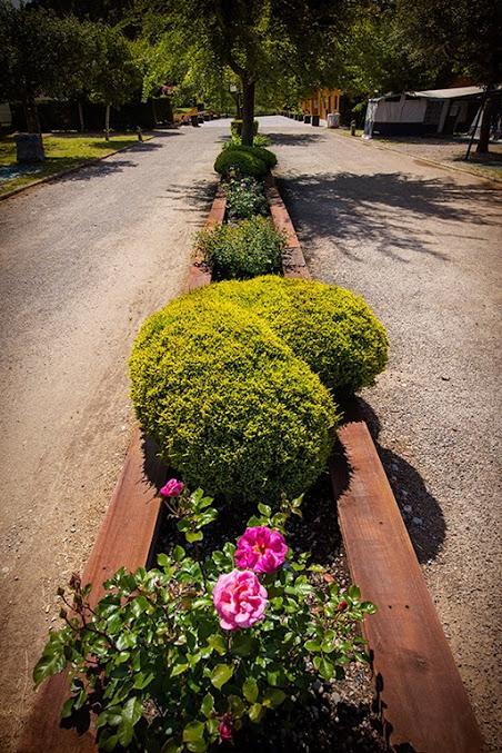 Camping Riera Merles Borredá Exteriér fotografie